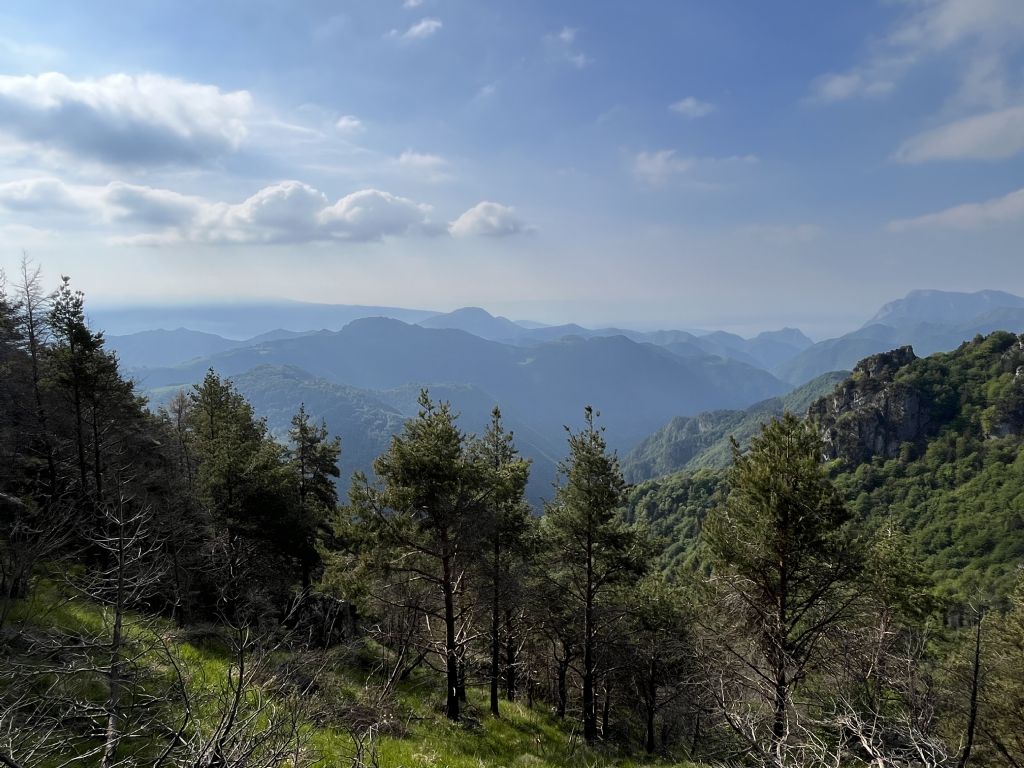 Bocca di Valle...Bondone (TN)